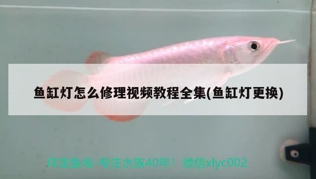 魚缸燈短路怎么修理：魚缸燈短路的修理方法