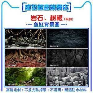 黑色的魚缸背景畫好看嗎（黑色的魚缸背景畫可以增加魚缸的整體美感使魚的顏色更加鮮艷）