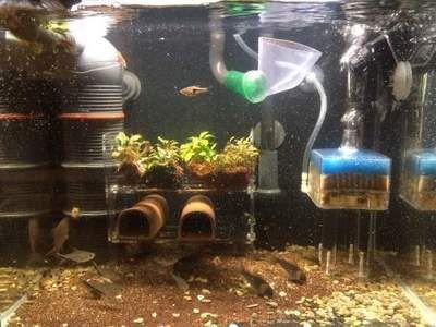 老漁匠魚缸安裝步驟詳解：老漁匠魚缸安裝步驟