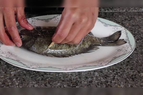 海龍魚怎樣做好吃視頻