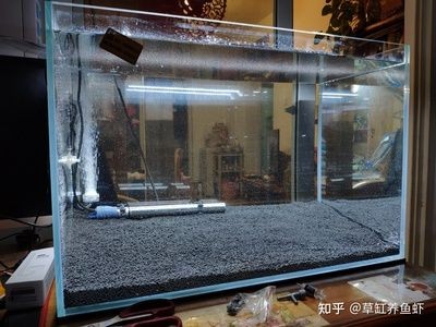 高端魚缸品牌推薦知乎：森森sunsun、博宇boyu等高端魚缸品牌推薦