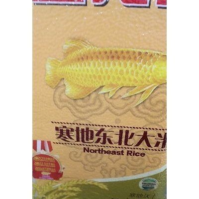 家里掛金龍魚（在家中懸掛金龍魚畫被認為具有一定的風水意義）