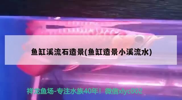 撫順市新?lián)岽髠ビ^賞魚(yú)經(jīng)銷(xiāo)店