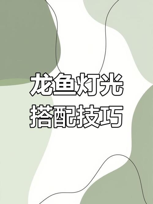 龍魚燈擺放圖片高清版