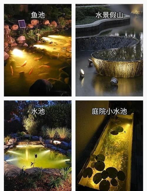 龍魚燈擺放圖片高清版
