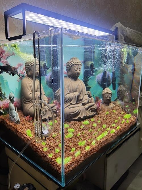 龍魚燈擺放圖片高清版