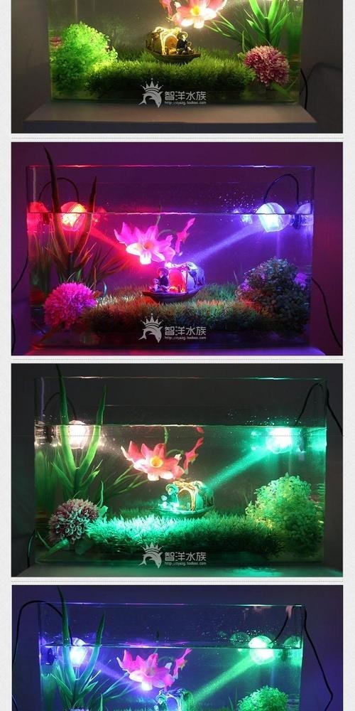 龍魚燈擺放圖片高清版