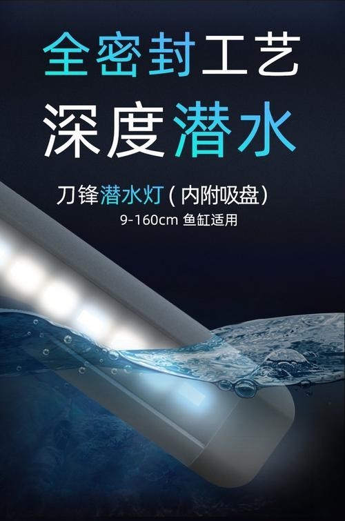 龍魚燈擺放圖片高清版