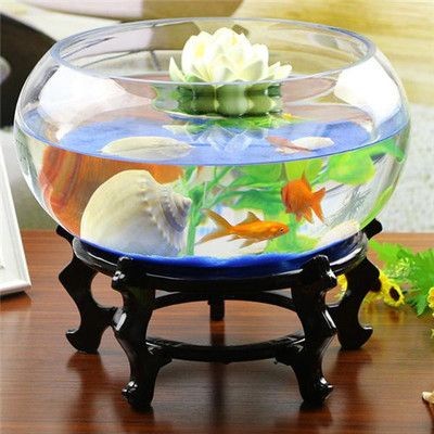 淡水魚魚缸加鹽的注意事項在淡水魚魚缸中加鹽的注意事項：淡水魚魚缸中加鹽的注意事項