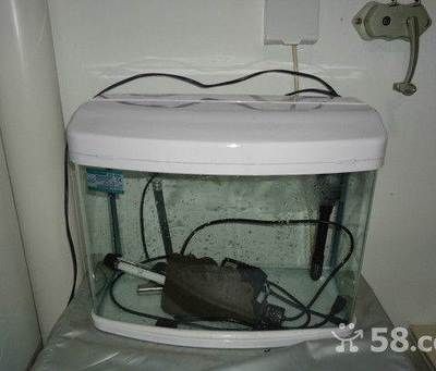 如何在呼和浩特市尋找一個既便宜實惠又好用的魚缸：呼和浩特花鳥魚蟲市場diy魚缸水質管理技巧和技巧