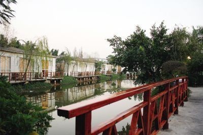 龍魚身上有粘液和氣泡：龍魚身上出現粘液和氣泡怎么辦