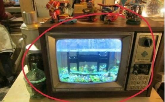 魚缸過濾拆卸：如何選擇合適的魚缸過濾器，魚缸過濾器維護技巧