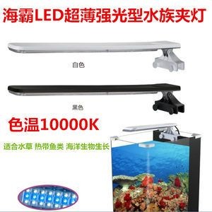 魚缸燈的光效科學了解魚缸燈的光效科學了解魚缸燈的光效科學：關于海洋牌魚缸燈的問題