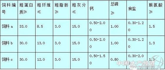 祥龍魚場觀賞魚：北京魚缸界的潛龍，祥龍魚場與Sianlon品牌的水族傳奇