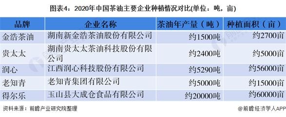 金龍魚知識青年多少錢：金龍魚品鑒標準介紹金龍魚市場價格趨勢如何挑選優質金龍魚 金龍魚知識青年多少錢：金龍魚品鑒標準介紹金龍魚市場價格趨勢如何挑選優質金龍魚 龍魚百科 第5張