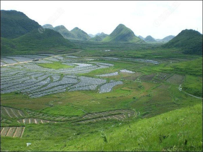 哈爾濱龍魚灣釣場電話多少號啊