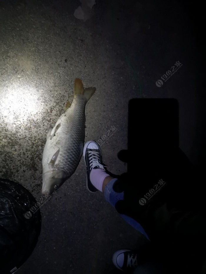 哈爾濱龍魚灣釣場電話多少號啊