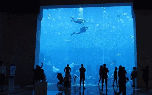 三亞亞特蘭蒂斯的魚(yú)缸是免費(fèi)的水族館，各種海洋動(dòng)物都能看到：三亞亞特蘭蒂斯海底餐廳