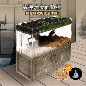 魚缸布局對魚類行為的影響：魚缸布局對魚的游泳行為有顯著影響