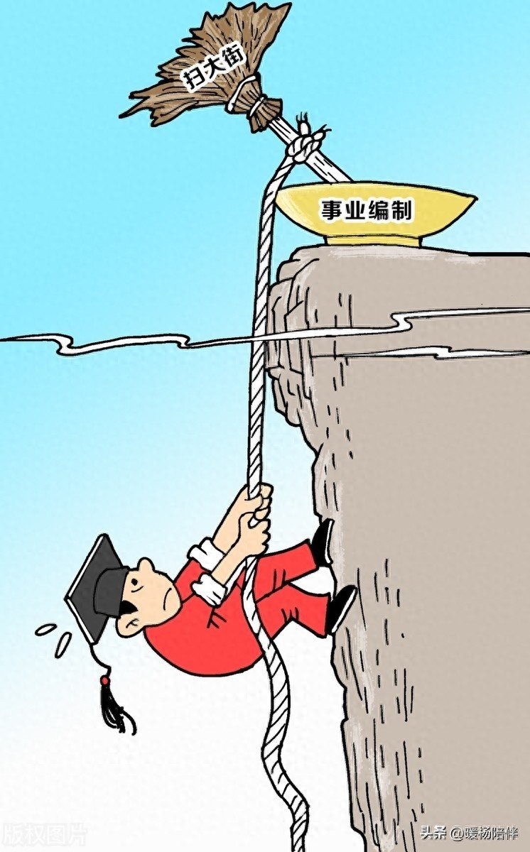 金龍魚(yú)的專業(yè)類晉升通道有哪些要求？