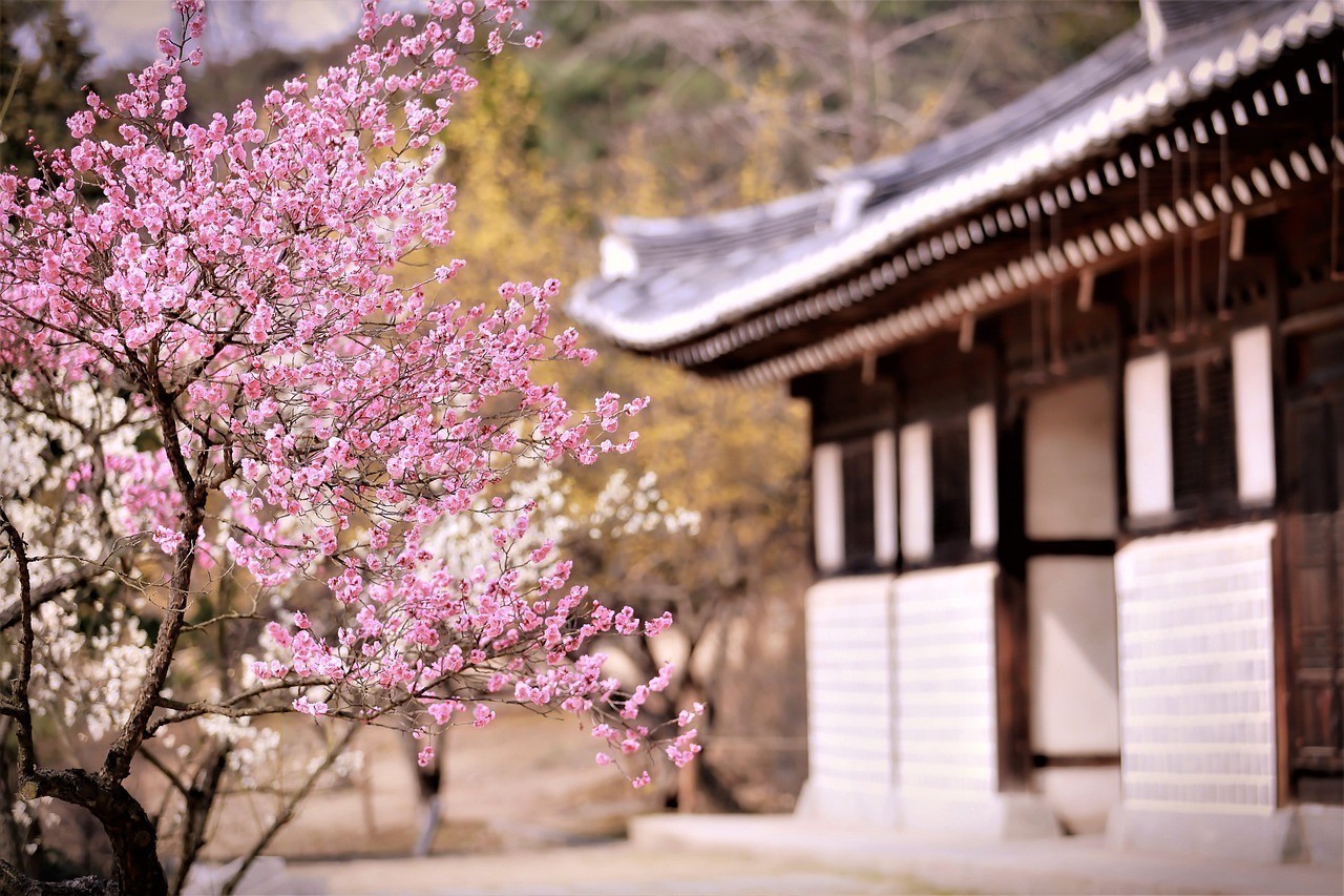 神木梅子花卉園林綠化有限公司（神木梅苑酒店預訂電話）