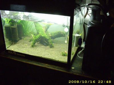 低成本魚缸改造方法是使用瓷磚粘貼而成的魚缸水質(zhì)管理技巧：低成本的魚缸改造方法
