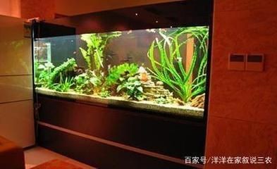 魚缸保溫材料效果比較：不同保溫材料對(duì)觀賞效果的影響