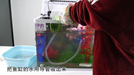 新買的魚缸如何處理？：剛買回來的魚缸需要經過一系列的處理步驟以下操作步驟