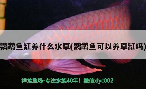 南京市浦口區惠眾花店