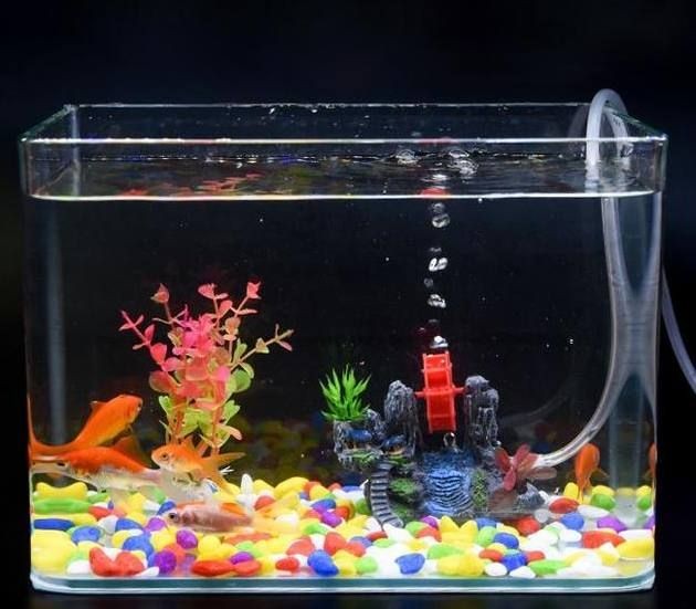魚缸濾水器：魚缸濾水器的種類及其特點