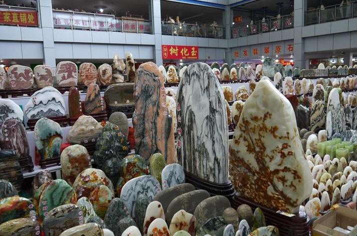遼陽龍魚專賣店 遼陽龍魚專賣店 龍魚百科 第3張