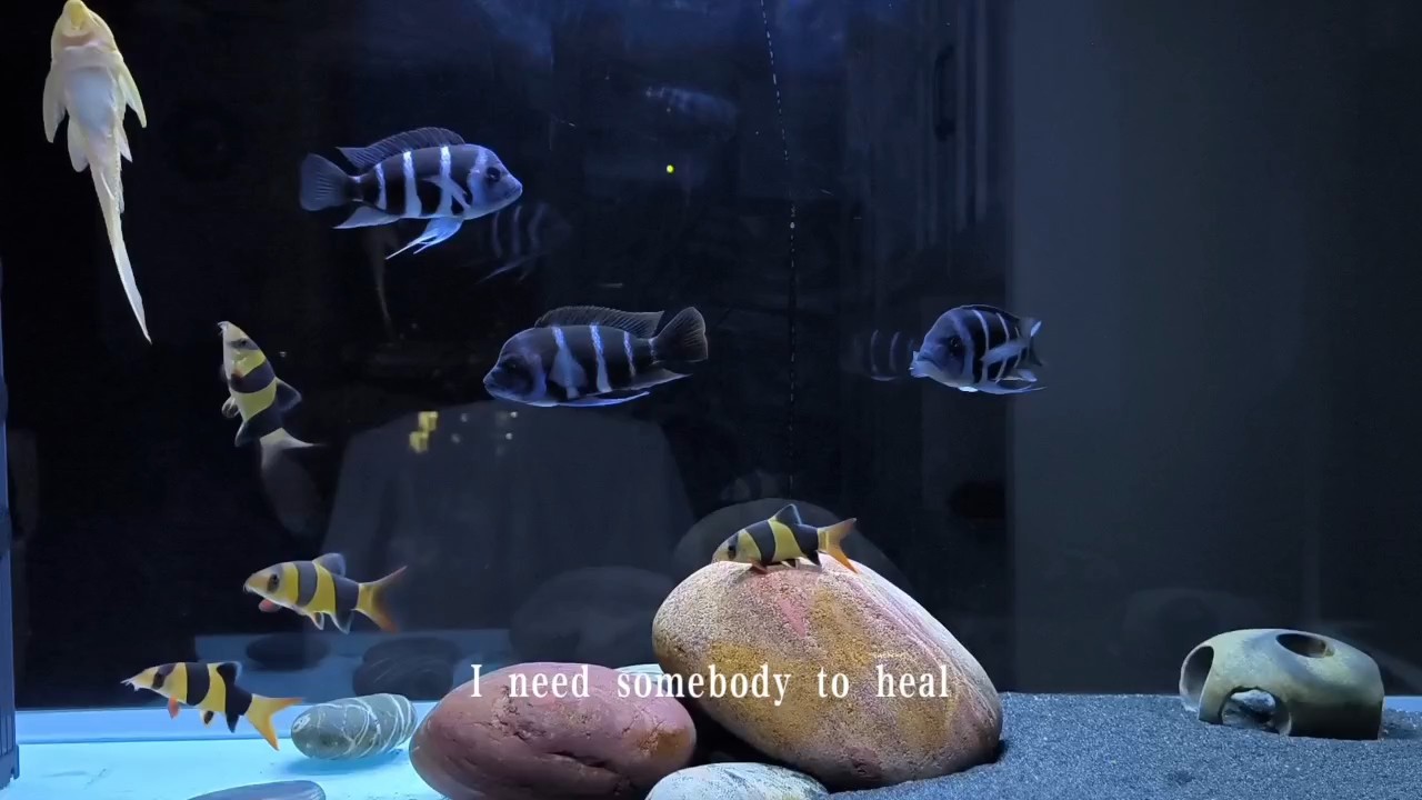 念深