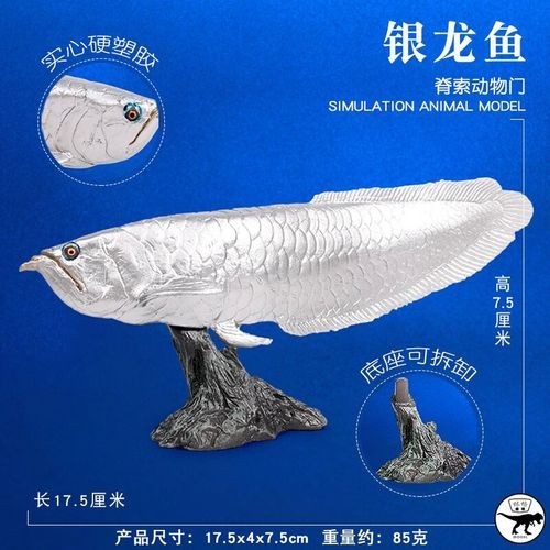 龍魚圖片 頭像大全大圖