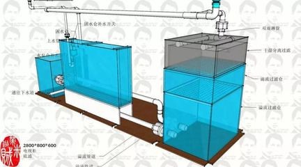 魚缸底濾缸設計圖分享[需手動填充]底濾缸設計圖分享[需手動填充]網友分享：關于魚缸底濾系統的一些信息 魚缸底濾缸設計圖分享[需手動填充]底濾缸設計圖分享[需手動填充]網友分享：關于魚缸底濾系統的一些信息 魚缸百科 第1張