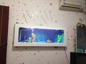 森森魚缸顯示屏換線，森森魚缸顯示屏尺寸型號查詢魚缸顯示屏安裝視頻教程 森森魚缸顯示屏換線，森森魚缸顯示屏尺寸型號查詢魚缸顯示屏安裝視頻教程 魚缸百科 第1張