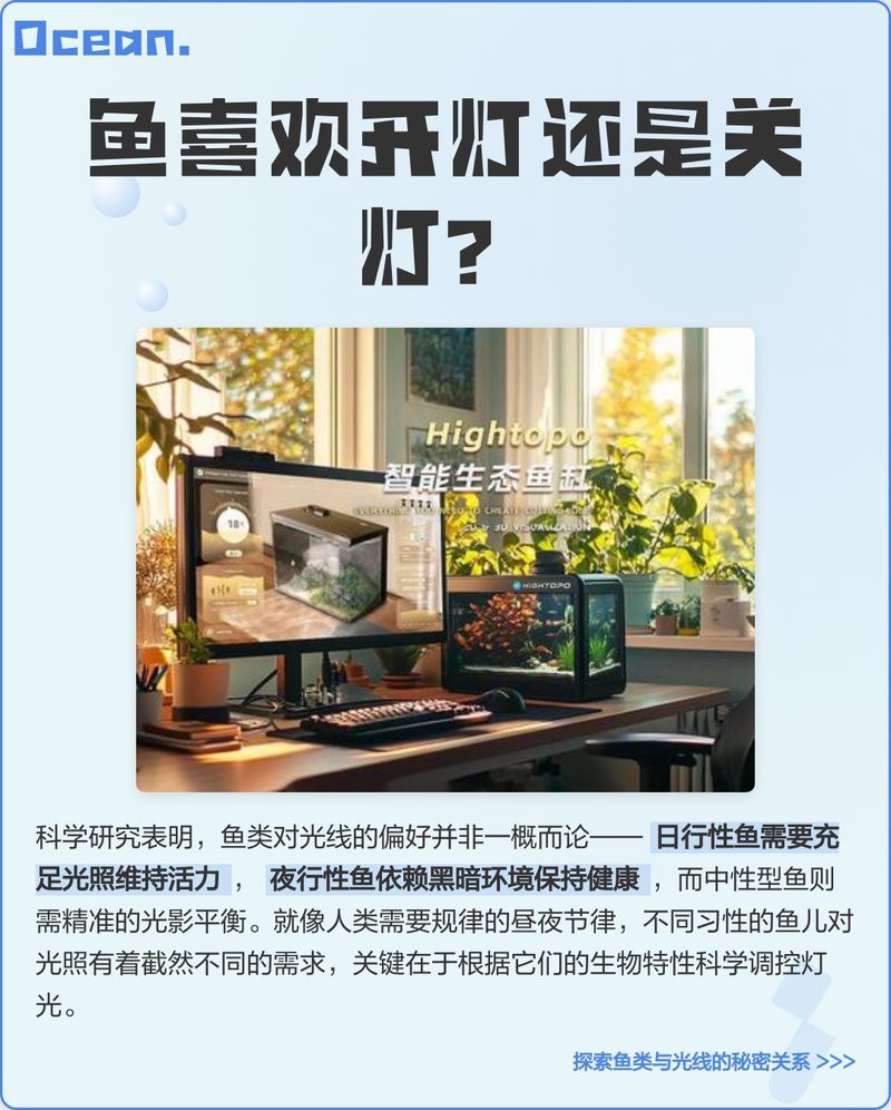 如何設置龍魚的最佳光照周期？