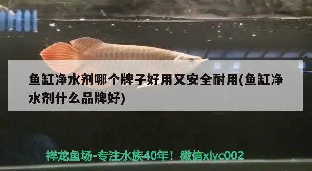 臨朐縣龍韻漁具店