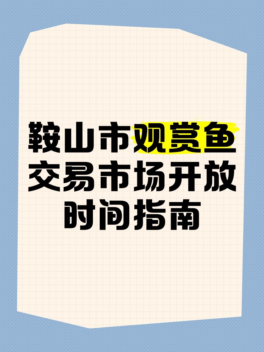 鞍山龍魚批發市場在哪里