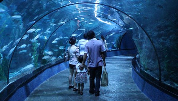 香港水族館（海洋公園海洋館門票預(yù)訂）