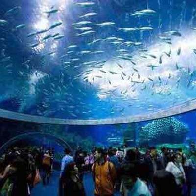 香港水族館（海洋公園海洋館門票預(yù)訂）