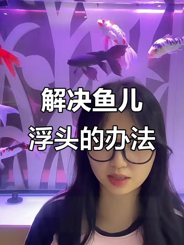 大頭魚浮頭后如何急救？