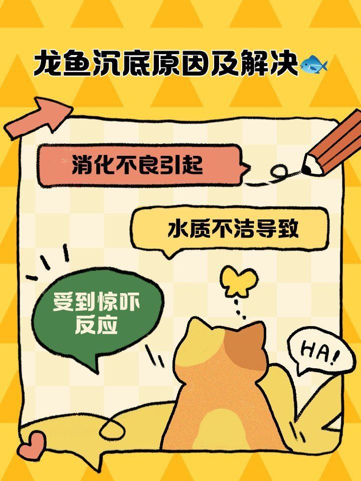 龍魚沉缸的解決辦法