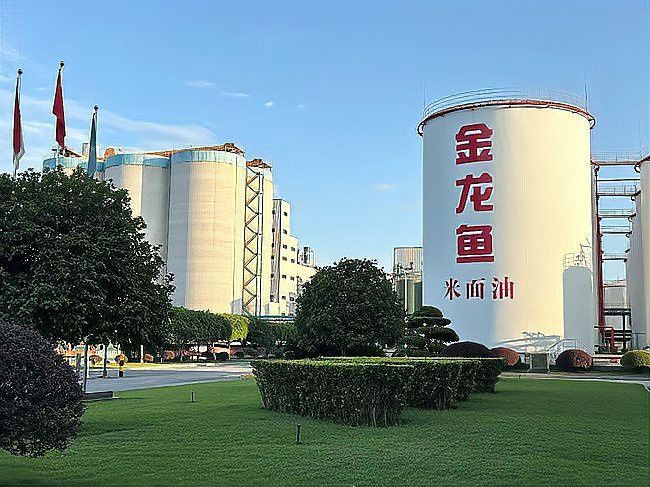 開封金龍魚公司怎么樣啊