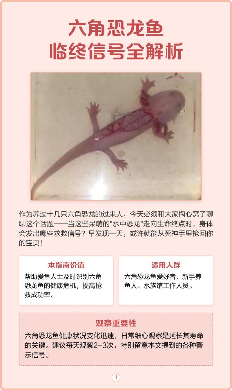 六角恐龍魚身體腐爛的癥狀