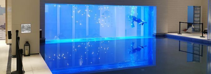 家里放半圓魚缸好嗎，半圓魚缸搭配家具建議