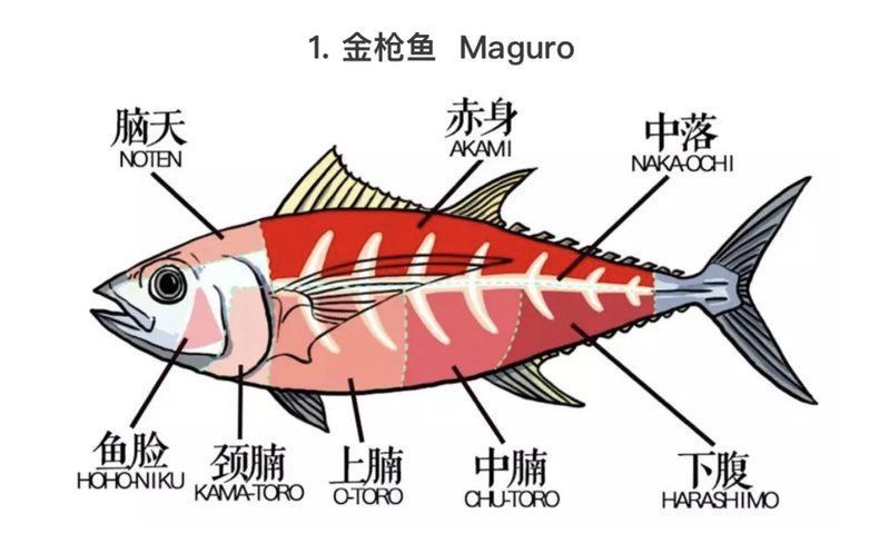 金槍魚最貴三個部位