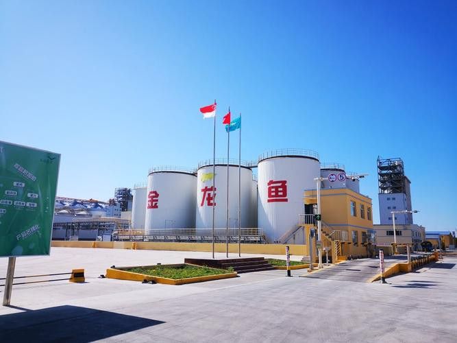 白城金龍魚公司簡介圖片高清大全