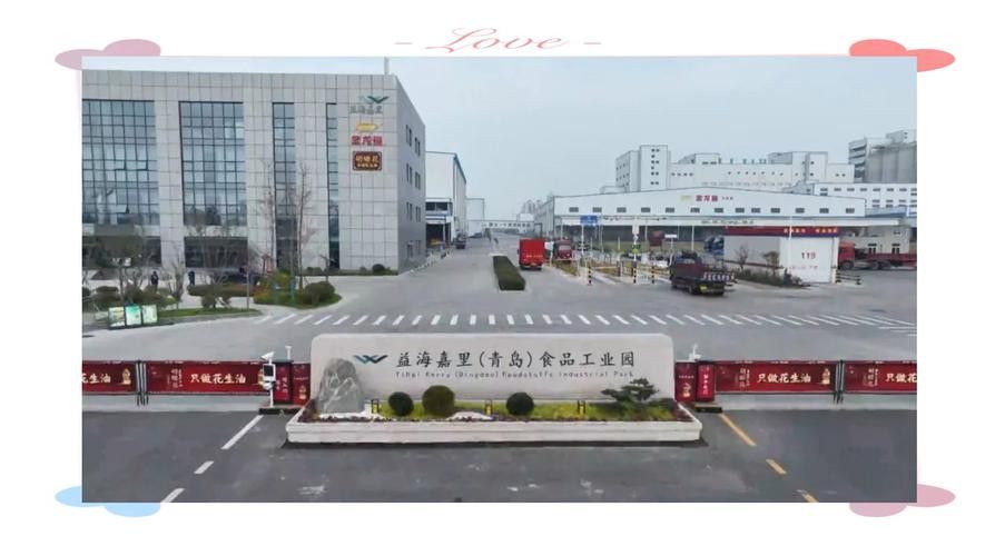 白城金龍魚公司簡介圖片高清大全