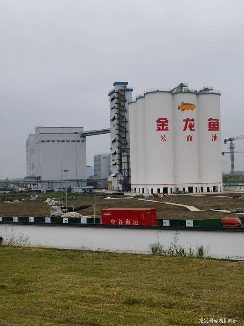 白城金龍魚公司簡介圖片高清大全