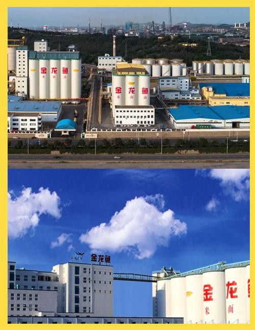 白城金龍魚公司簡介圖片高清大全